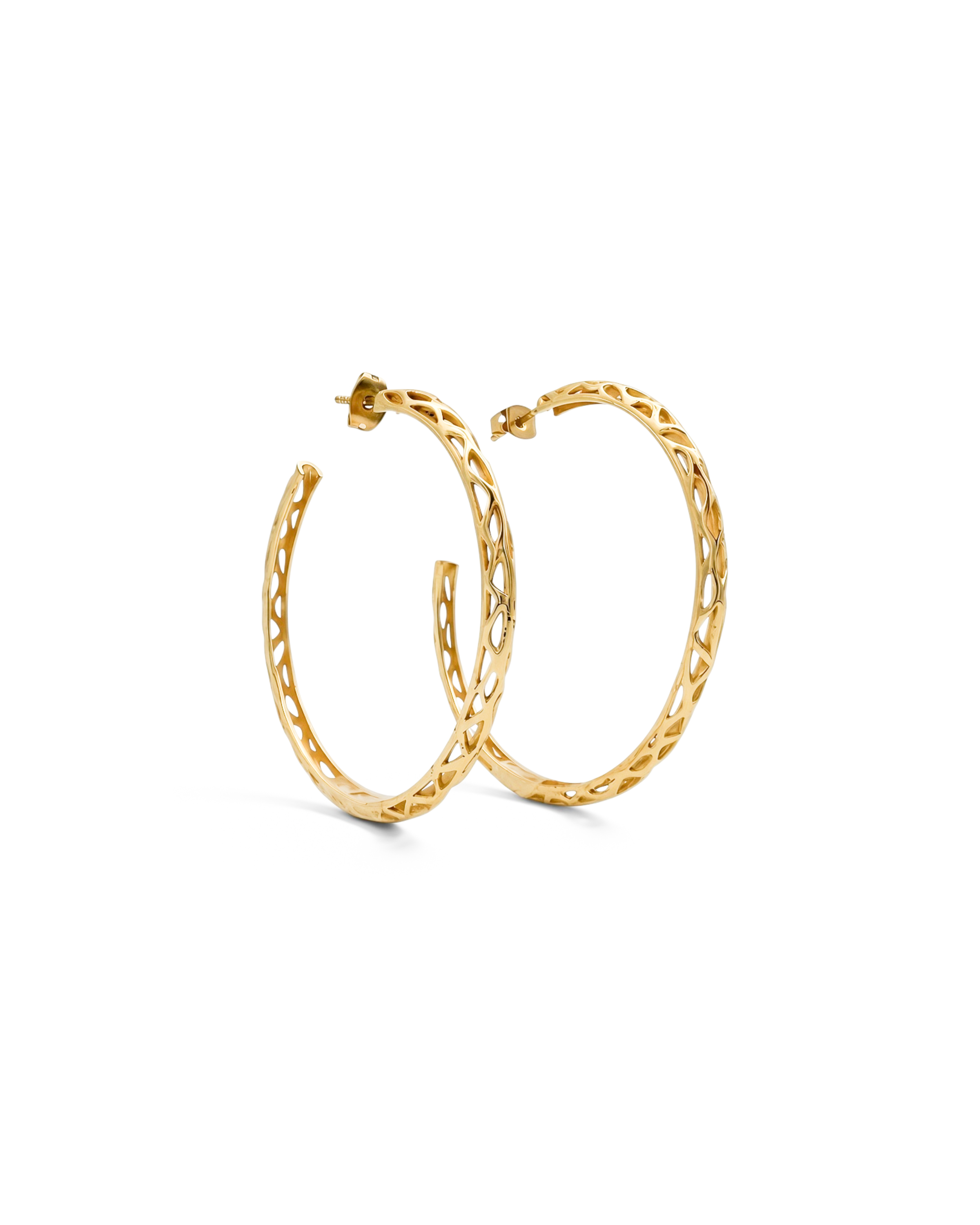 Gold Hoop Earrings