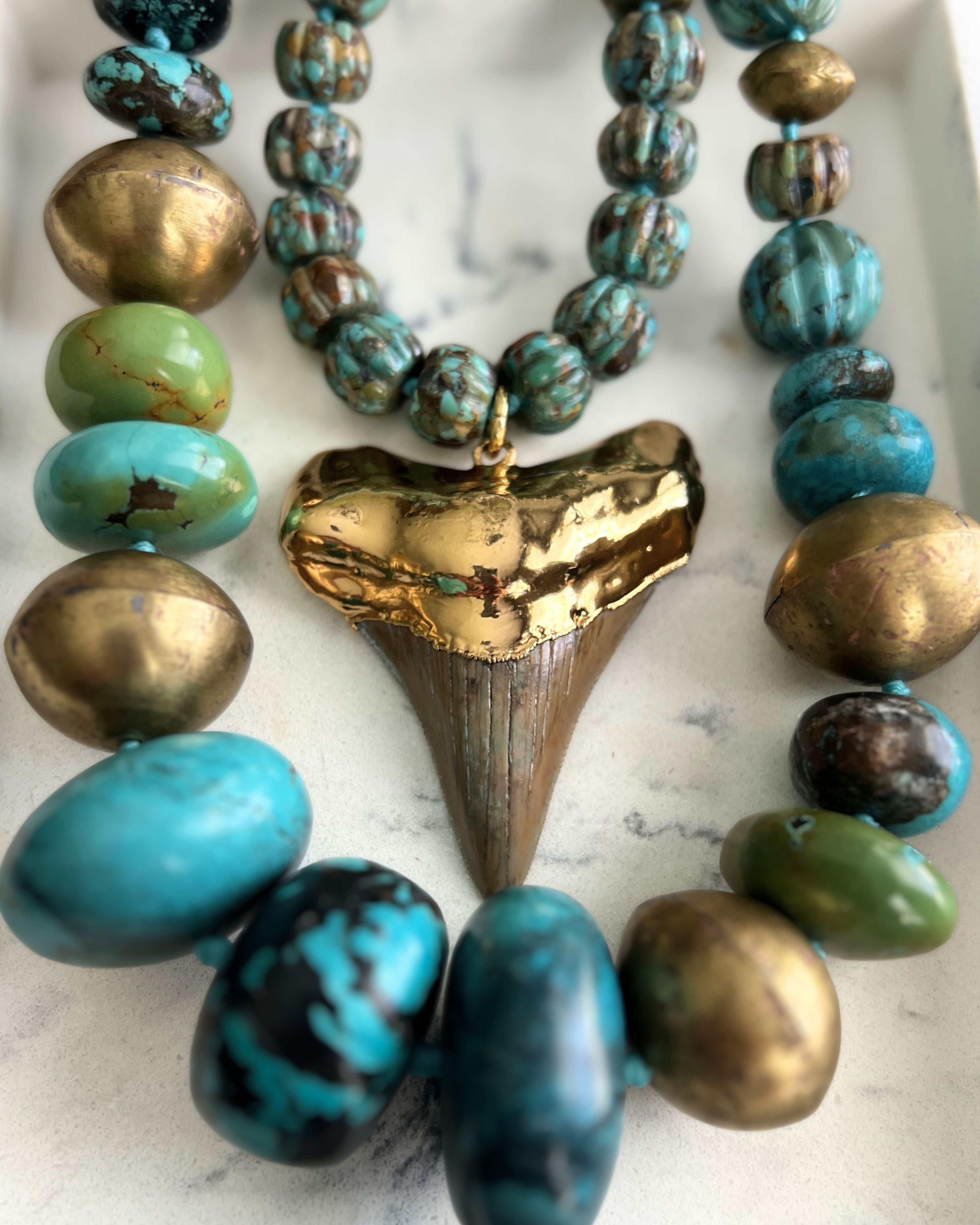 Megalodon Shark Tooth on Turquoise