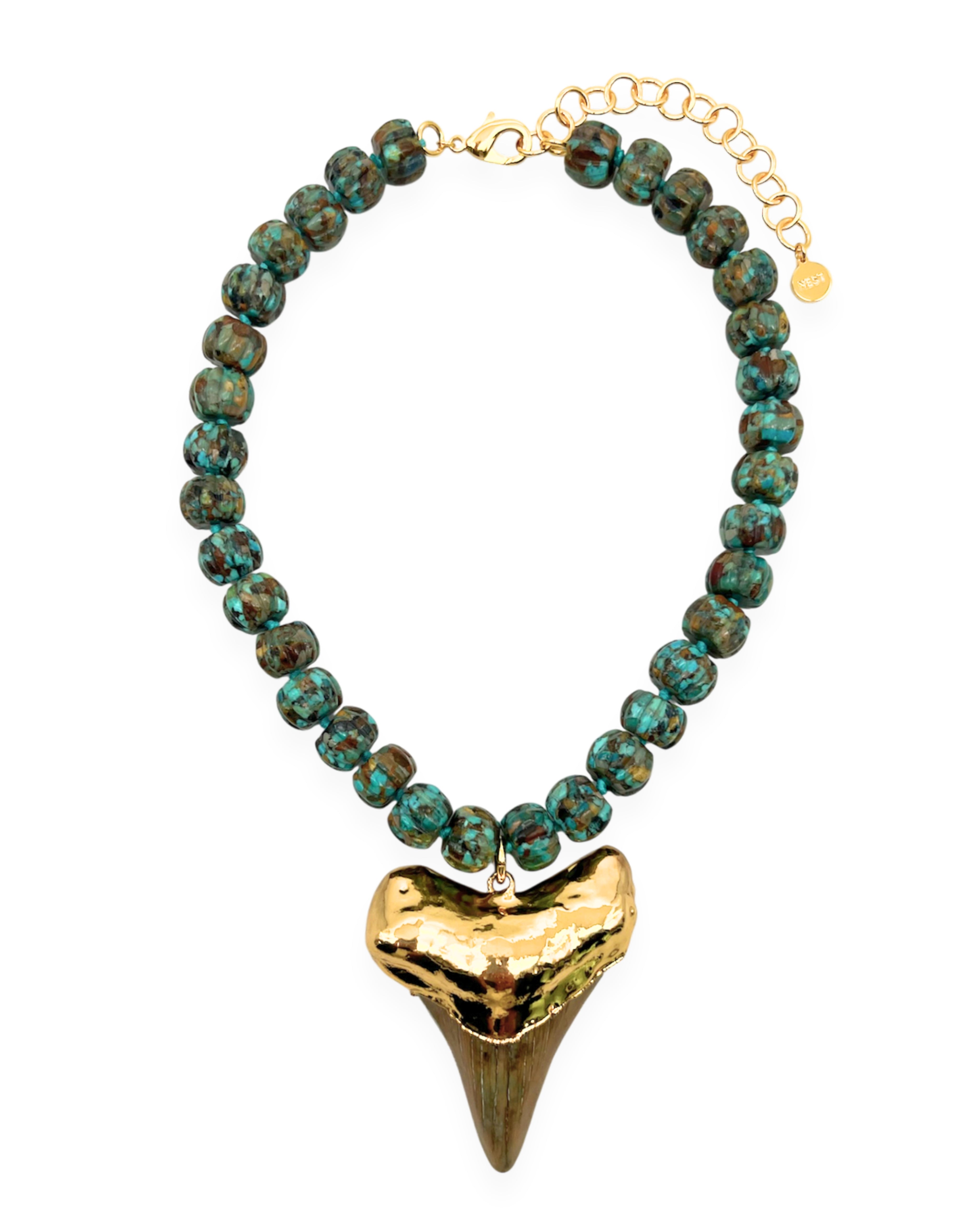 Megalodon Shark Tooth on Turquoise